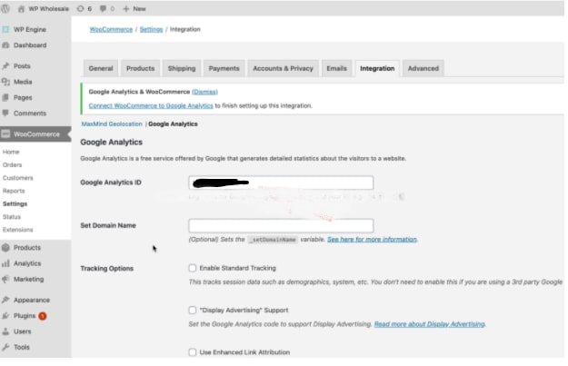 Pasting the Google Analytics ID